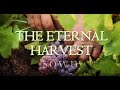 The eternal harvest