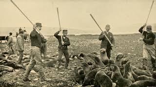 Seal hunting | Wikipedia audio article