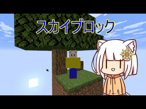 【Minecraft】最新バージョンバニラでスカイブロックやる