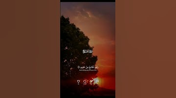 ما تيسر من سورة الحج #سعد_الغامدي #قرآن 💛 #Quran