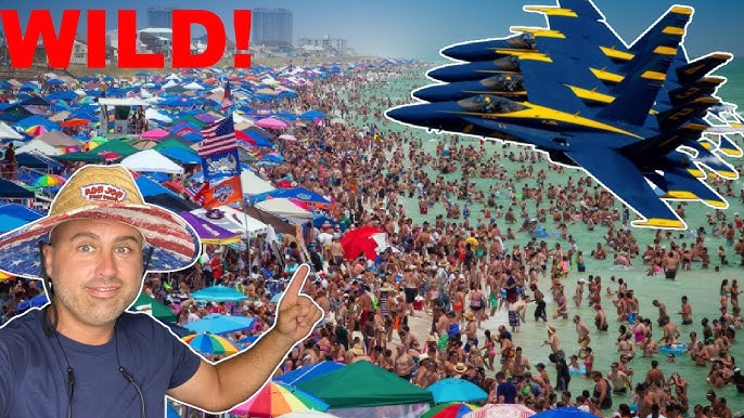 30+ Pensacola Art Festival November 2022