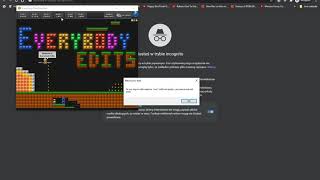 Everybody Edits Emulator - All versions offline!