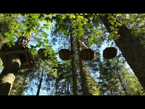 Harrison at Go Ape high in the treetops