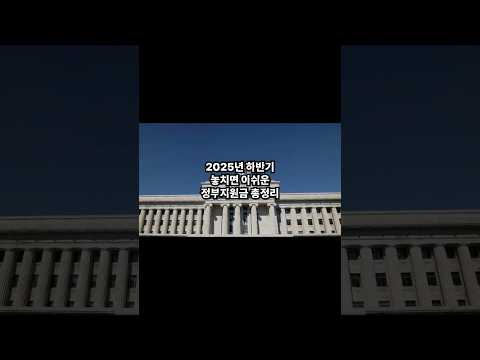 놓치면 수십만 원 손해! 2025 정부지원금 지금 확인하세요 #정부지원금