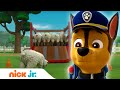 Щенячий патруль | Щенки спасают овечек 🐑 | Nick Jr. Россия