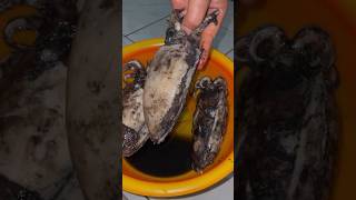 Cooking Jumbo Squid With Black Ink Like Oil shorts
