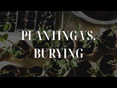 May 1, 2024 on PLANTING VS. BURYING