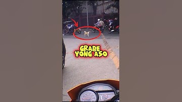 RPM: Sana Oks Lang Si Doggie #shorts #motorcycle #commute