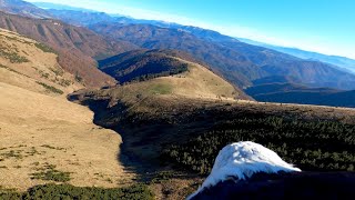 Unbelievable POV Bald Eagle over Slovakia