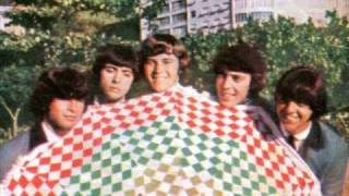 Video thumbnail of "The Brazilian Bitles - Gata (Wild Thing) - 1967."