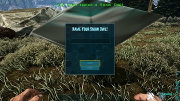 how to spawn a snow owl*
