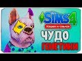 ЧУДО ГЕНЕТИКИ, ЧТО НЕ ТАК С ПЕСИКОМ?! - The Sims 4 "Кошки и Собаки"