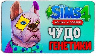 ЧУДО ГЕНЕТИКИ, ЧТО НЕ ТАК С ПЕСИКОМ?! - The Sims 4 \
