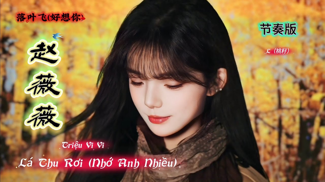 落叶飞(好想你) Lá Thu Rơi (Nhớ Anh Nhiều) (节奏版)Triệu Vi Vi 赵薇薇 Hot Tiktok Douyin 2025