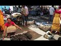 Kokrajhar Market Scene (India, Assam)