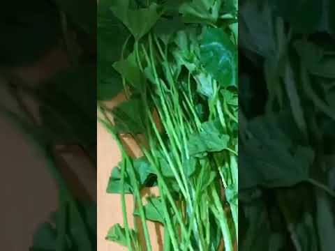 طريقة سلطة البقولة أو الخبيزة تجيك بنينة بزاف و طريقة تنقية ديال الخبيزة للمبتدئات اضغط هنا