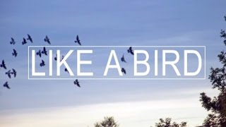 Miniatura de vídeo de "River Rhyme : Like A Bird [Official Music Video]"
