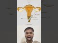 IVF painful-aa? 😟 Full truth in 30 seconds! | Tamil | Jayaram Chandrasekar Embryologist