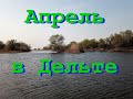 Апрель в Дельте  или почему я езжу в Дельту в начале апреля