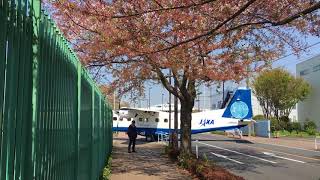 JAXAのドルニエ道路横断中