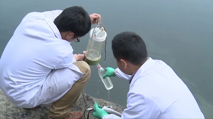 BIONANO VIDEO - NANO Buble Generator ( NBG )