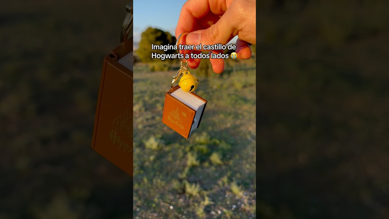 Quien podría rechazar algo así? 