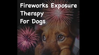 Fireworks Sounds For Dogs Scared Of Fireworks   Dog Training To Calm / Relax Your Dog #shorts