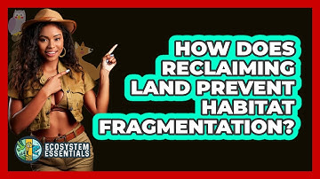 How Does Reclaiming Land Prevent Habitat Fragmentation? - Ecosystem Essentials