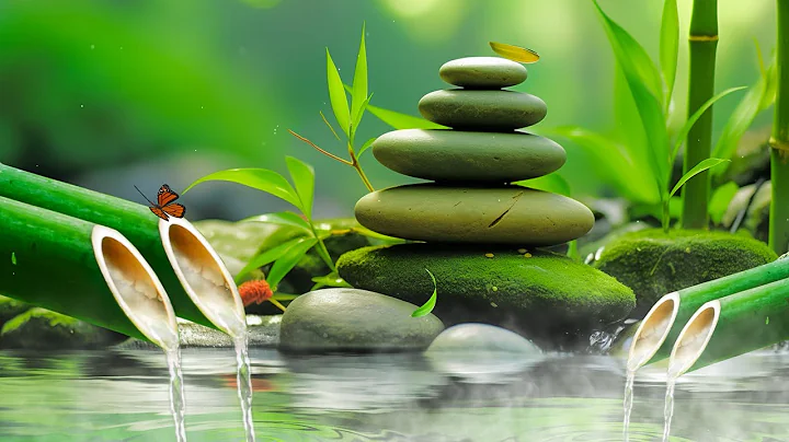 Relaxing Sleep Music + Insomnia: Bamboo, Stress Relief, Deep Sleep, Relax & Therapy Music 🌿 #21