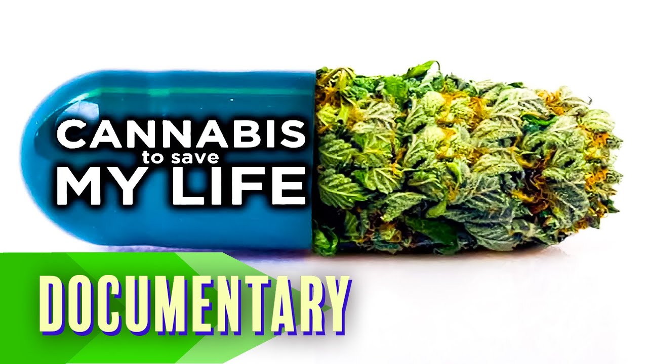 Cannabis to Save My Life (2016) | Full Documentary | Patricia Crone | Jon Gettman