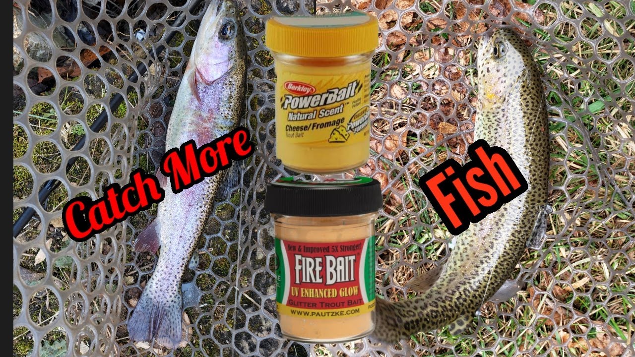 When The Trout Are Super Finicky | Dough Baits Pull It Off... | Power Bait & Pautzke Baits PT-1