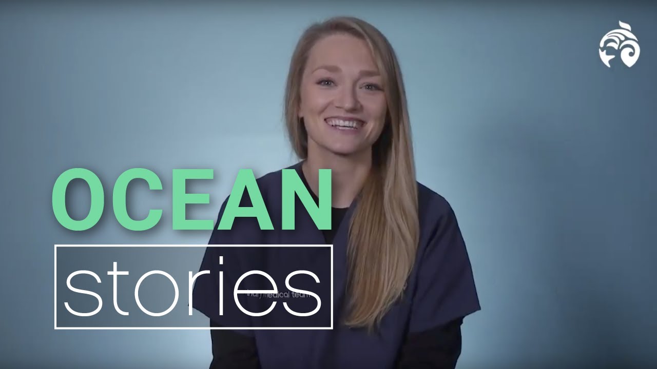 How to be a Vet Ocean Stories YouTube