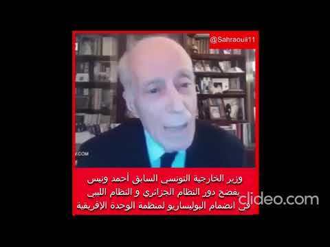 وزير الخارجية التونسي السابق أحمد ونيس يفضح دور النظام الجزائري