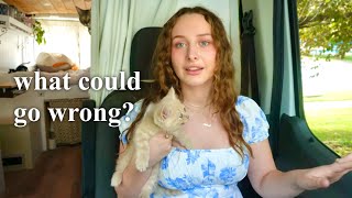 Van Life with an 8 week old Kitten (failed)