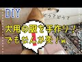 【DIY】着なくなった飼い主の服で愛犬に洋服を作った結果… hand made