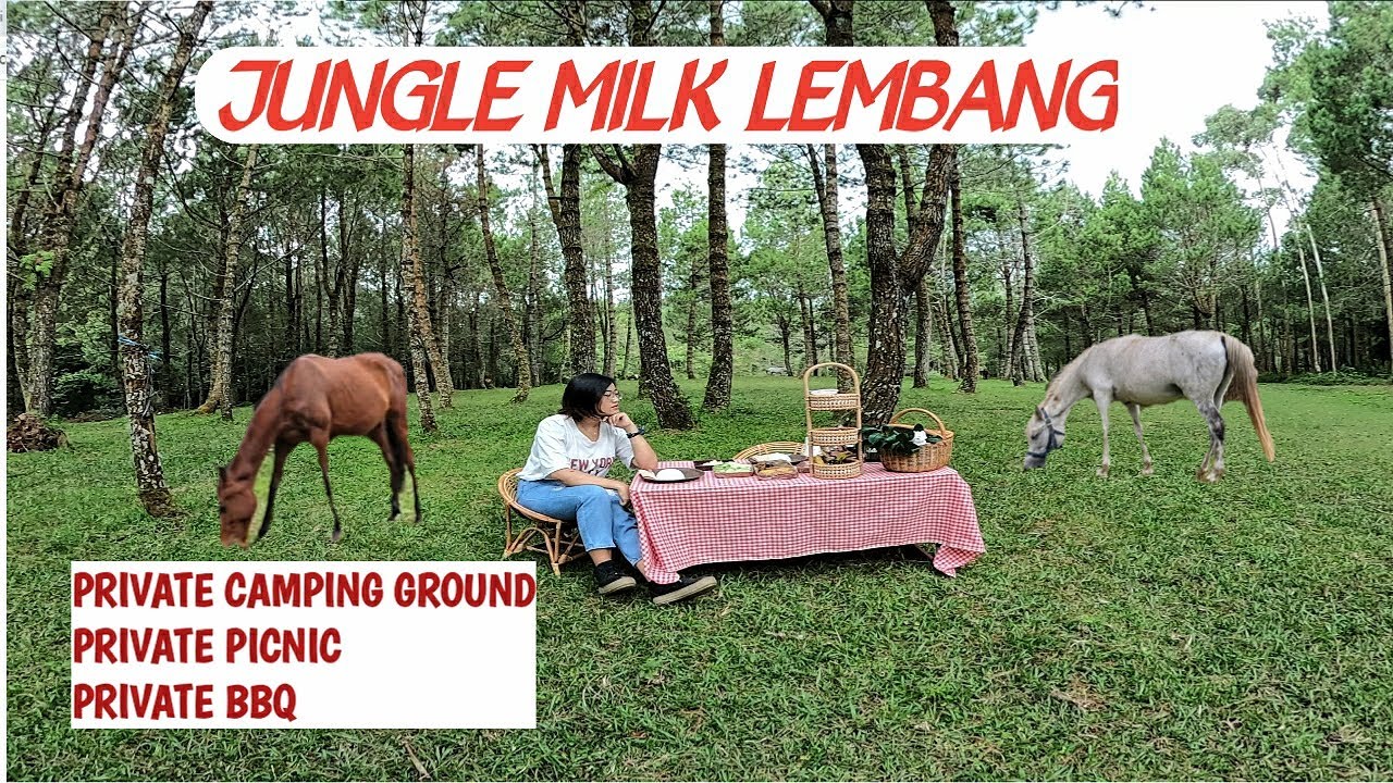 private Piknik di Jungle Milk Lembang | Akses Jalan Menuju Jungle Milk