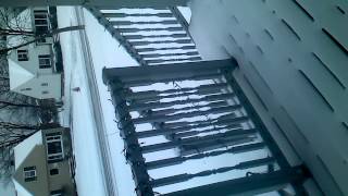 That Snow Tho Real Life Bull