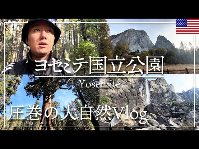 全米で大人気！自然の宝庫を巡る「世界遺産ヨセミテ国立公園」の絶景