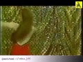 رقص جمیله رقص جمیله
