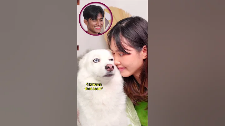 David Matthew Reacts to @MiniMoochi  disturbing Kaya #funny #shortsfeed ​⁠