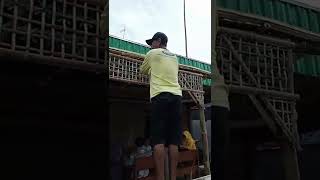 Pasang Tarub Nikahan