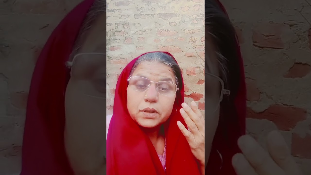 Дом, в котором растет растение тулси 