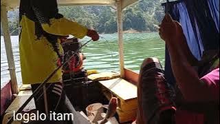 Bocil Strike Toman and baung in the PLTA lake