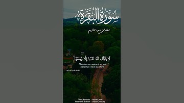 خواتيم سورة البقرة بصوت القارئ الشيخ سعود الشريم