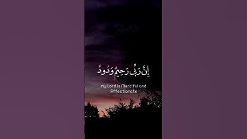 وَاسْتَغْفِرُوا رَبَّكُمْ ثُمَّ تُوبُوا إِلَيْهِ إِنَّ رَبِّي رَحِيمٌ وَدُودٌ .سورة هود.صلاح بو خاطر