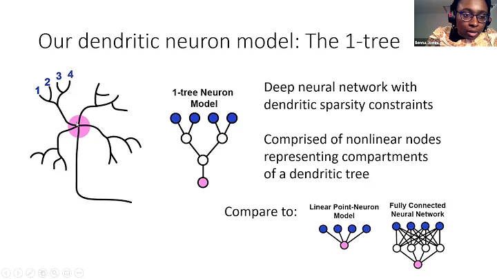 Talk: Can single neurons solve MNIST? The computational power of biological dendritic trees