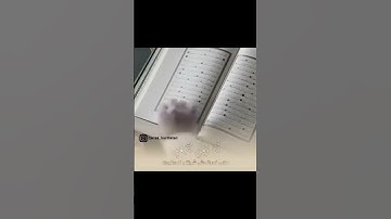 بصوت القارئ سعدون حمادي