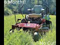 Mowing 6 Months of grass!