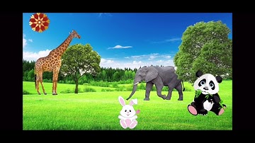 Kpkh: tìm hiểu một số con vật sống trong rừng