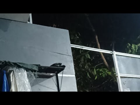 katanya di sini sering muncul kuntilanak